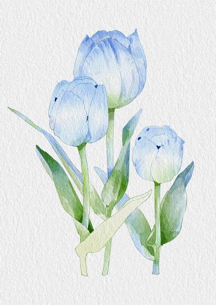 tranh vẽ hoa tulip chất lượng cao