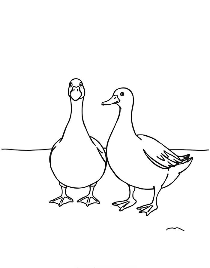 tranh vịt đáng yêu cho bé tô