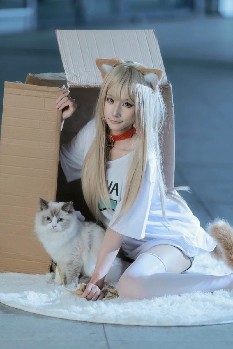 vẻ mềm mại tỏa sáng ảnh cosplay mèo