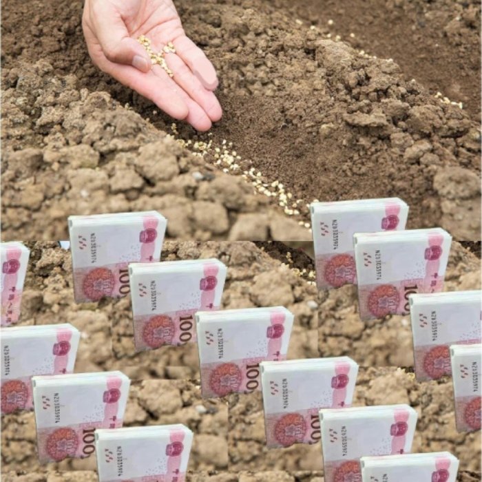 ý vị châm chọc meme tiền