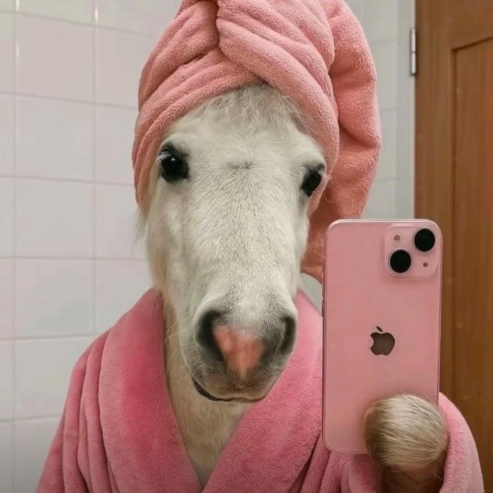 Ảnh đại diện bựa ngựa quấn khăn tắm cầm điện thoại