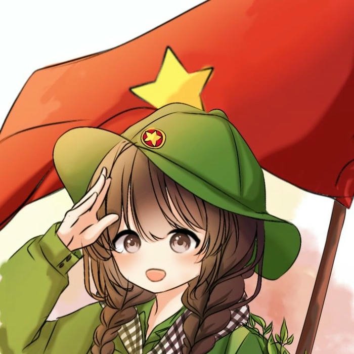 Ảnh đại diện cờ Việt Nam cô gái mũ tai bèo