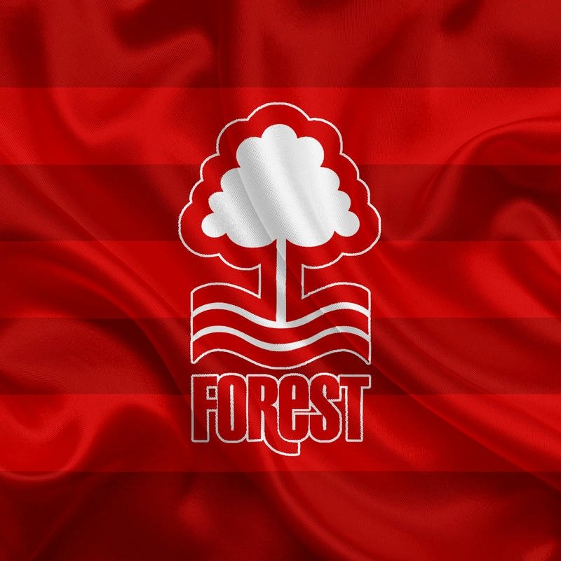 Avatar bóng đá đẹp logo Nottingham Forest nền đỏ rực