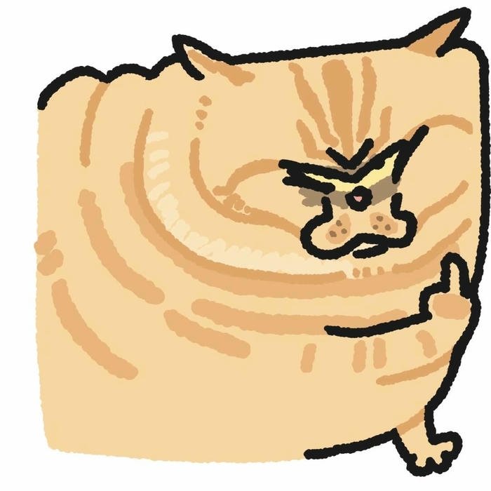 Avatar bựa troll mèo vàng béo ú mặt cau có lạ