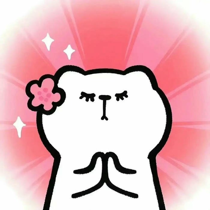 Avatar discord cute gấu trắng chắp tay cầu nguyện