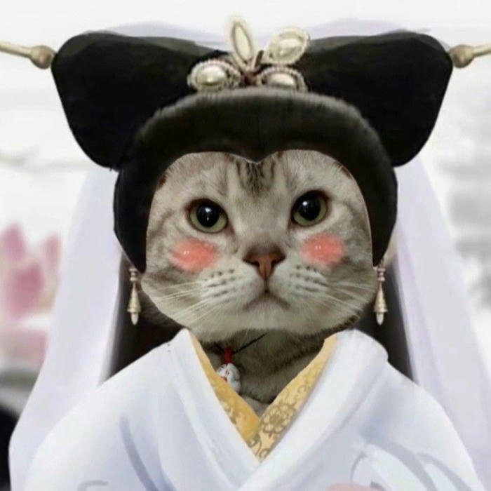 Avatar discord meme mèo đội mũ hoàng hậu trung quốc