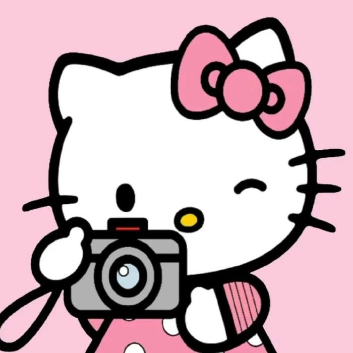 Avatar hello kitty cute cầm máy ảnh chụp hình nháy mắt