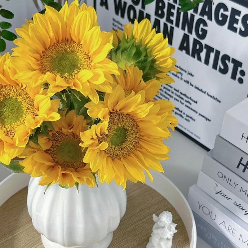 Avatar hoa hướng dương bình hoa để bàn xinh xắn