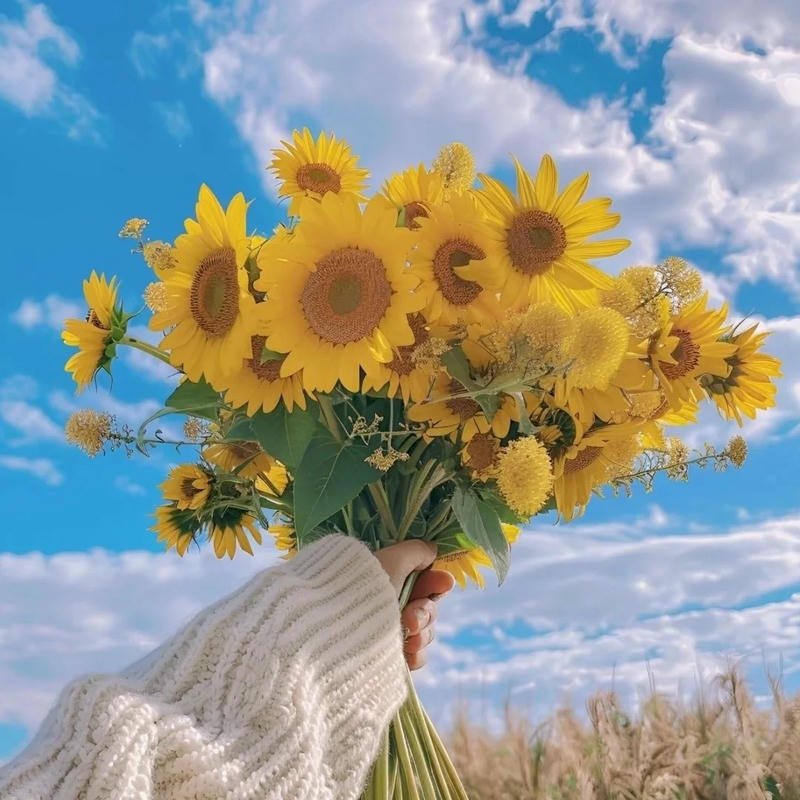 Avatar hoa hướng dương bó hoa che mặt bầu trời xanh