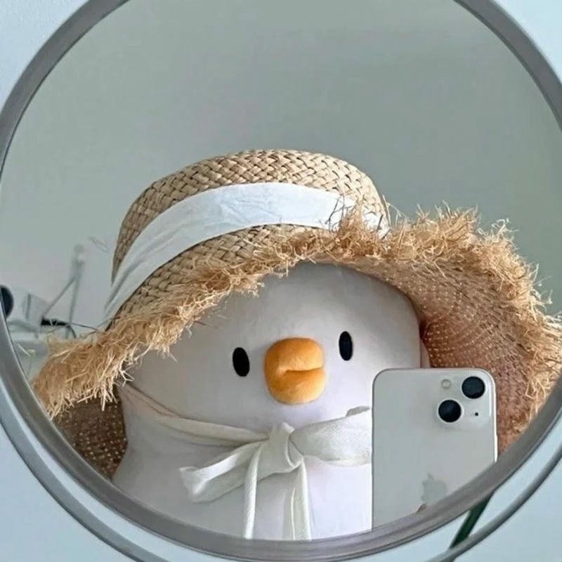 Avatar tiktok đẹp vịt bông đội nón lá hài hước