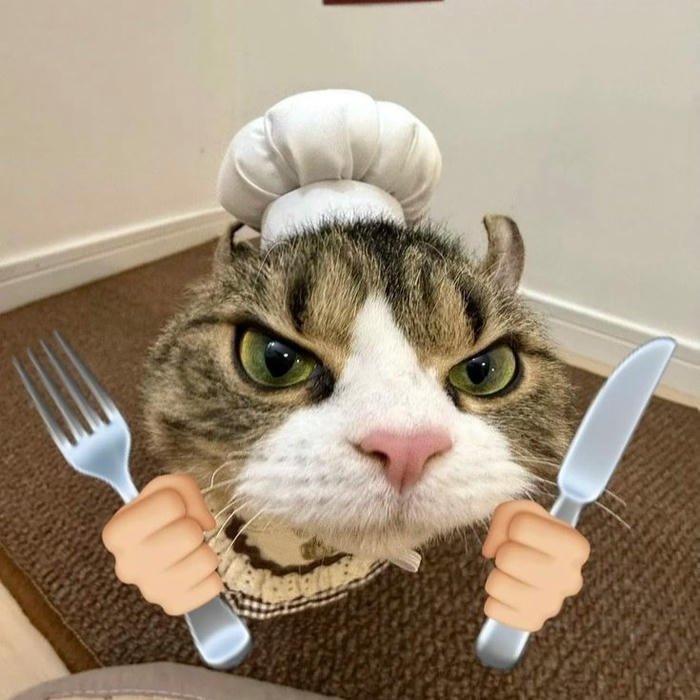 Discord avatar mèo cầm dao nĩa chuẩn bị ăn