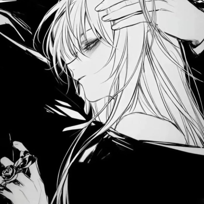 ánh nhìn chung avatar đôi anime ngầu lạnh