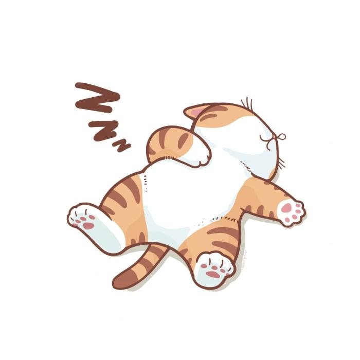 ánh nhìn hiền qua ảnh mèo anime