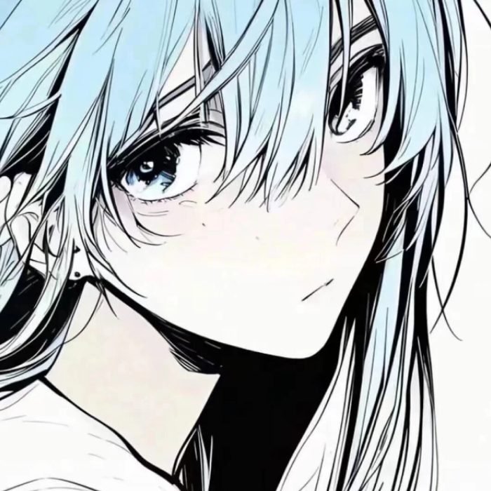 avatar đôi anime ngầu ánh nhìn sắc