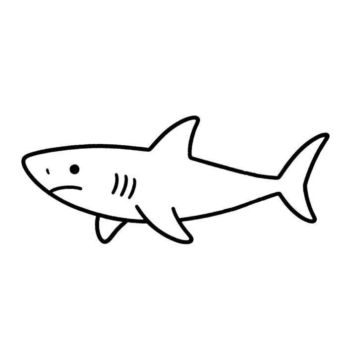 bài học màu sắc với con cá mập tô màu