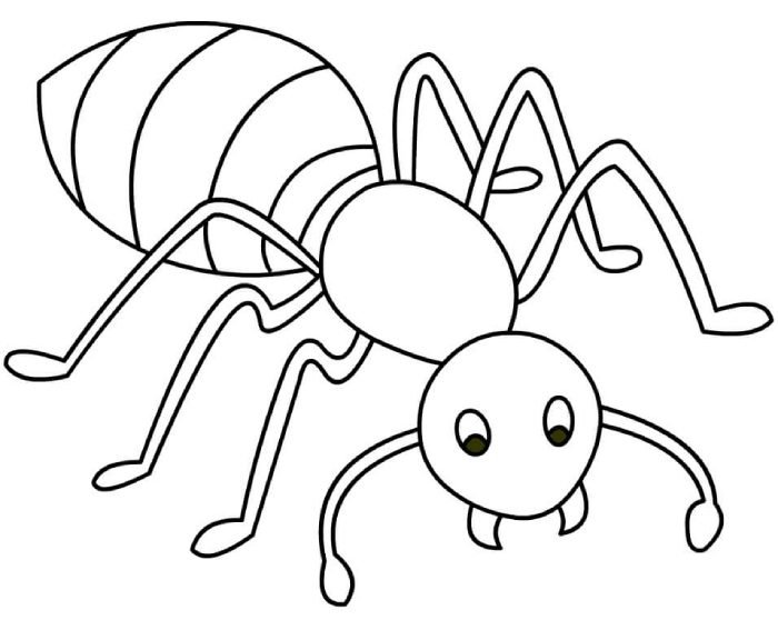 bài học quan sát từ tranh tô màu con kiến