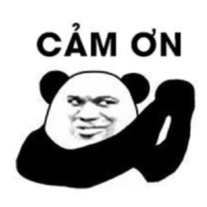 bày tỏ sự ghi nhận sticker cảm ơn