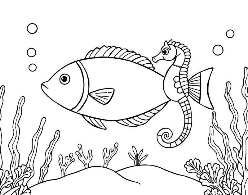 bé tập vẽ với tô màu con cá ngựa