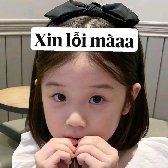 cách nhận sai không quá nặng meme xin lỗi