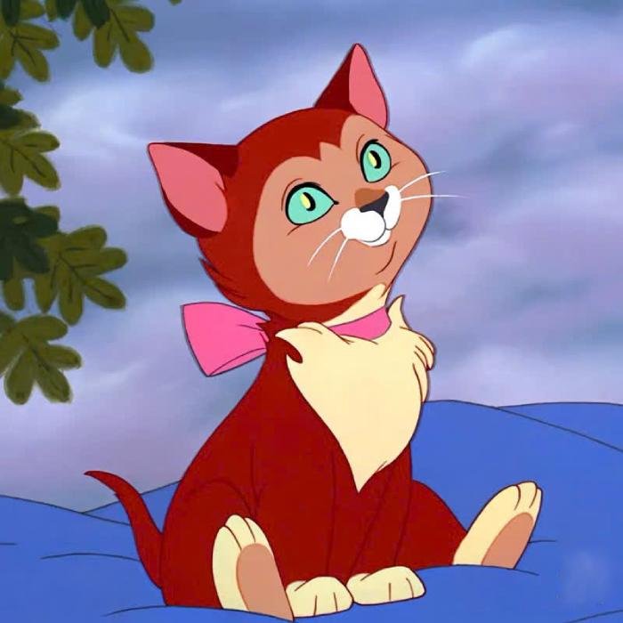 cảm giác dễ chịu từ ảnh mèo anime