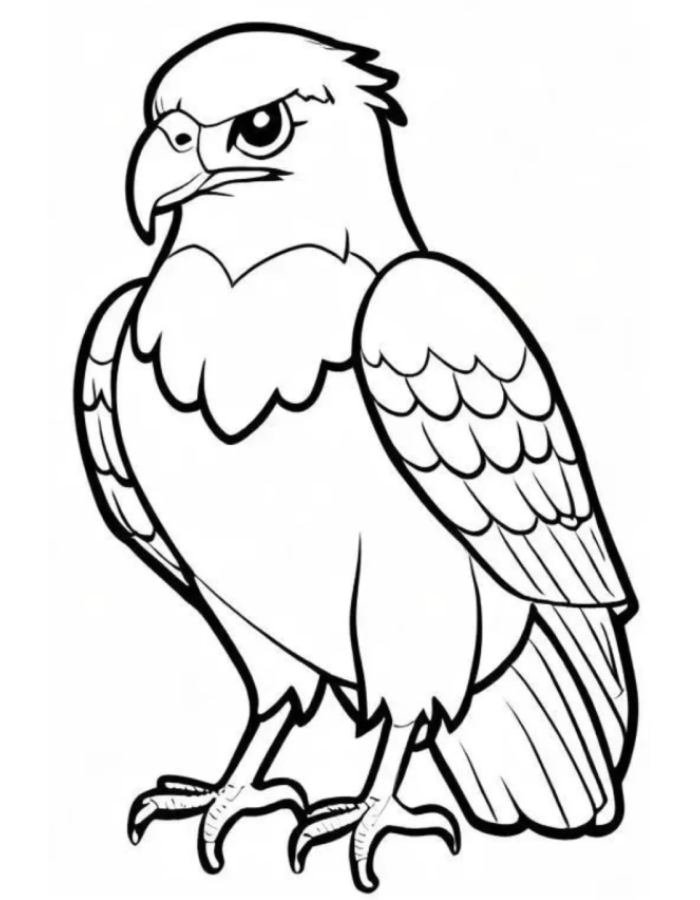 cảnh đẹp trong tranh tô màu con chim đại bàng
