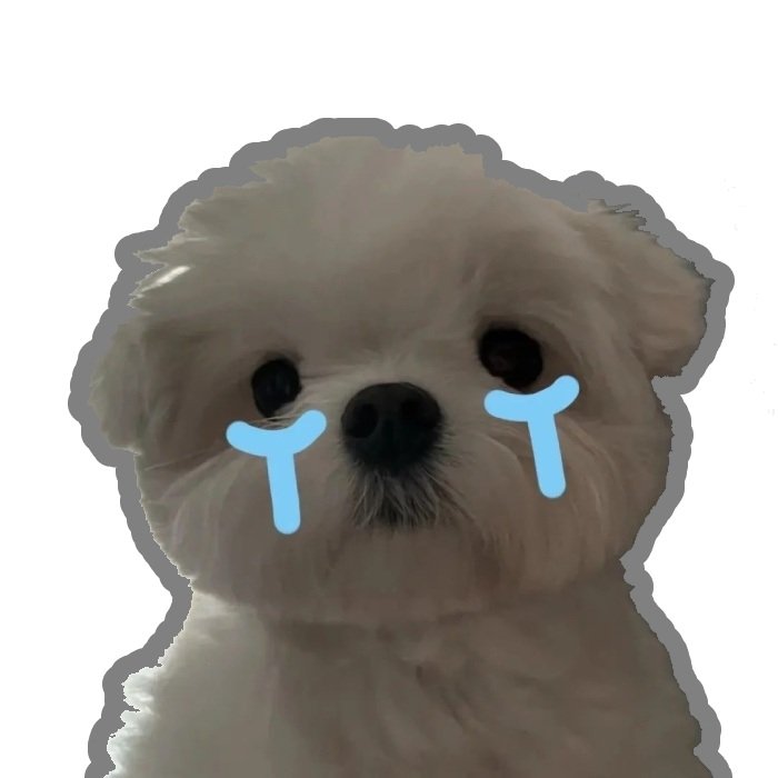 chó lông xoăn tèm lem sticker khóc