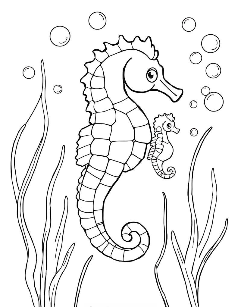 chủ đề biển cả trong tô màu con cá ngựa