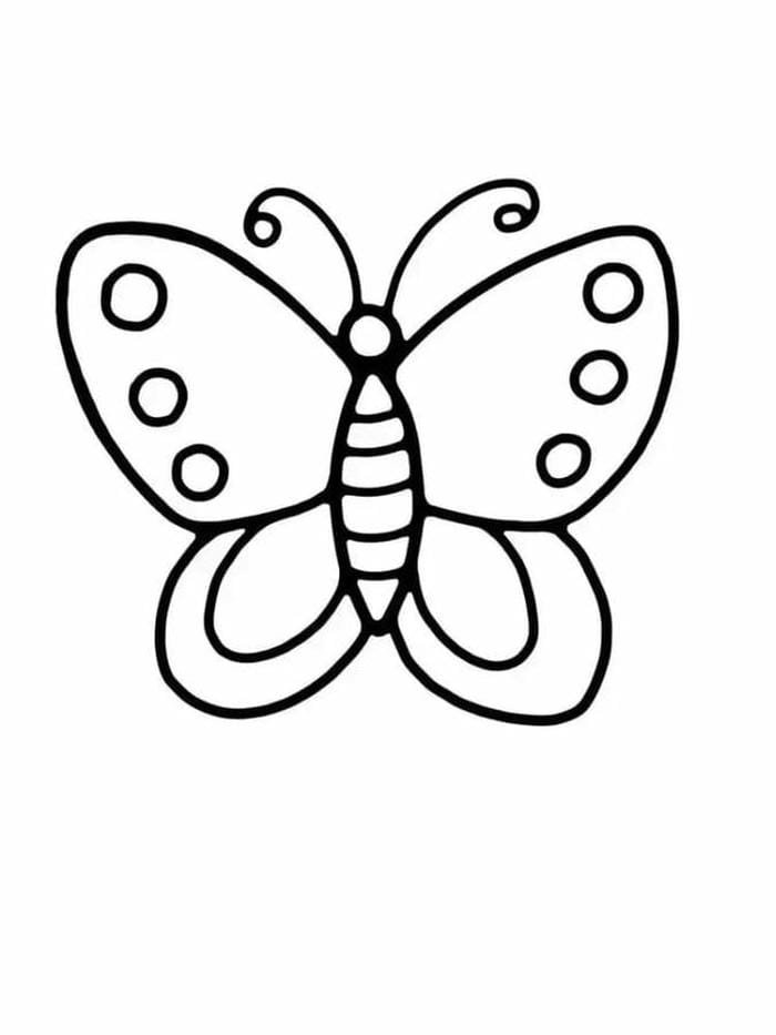 chủ tranh tô màu hình con bướm cho bé