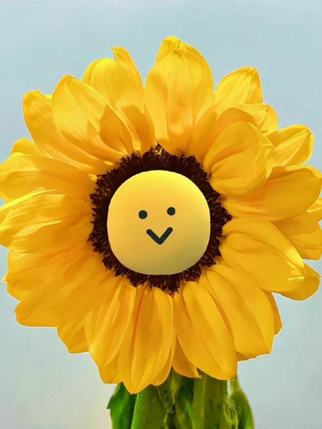 Tuyển chọn 125+ discord avatar phong cách ngầu và cute