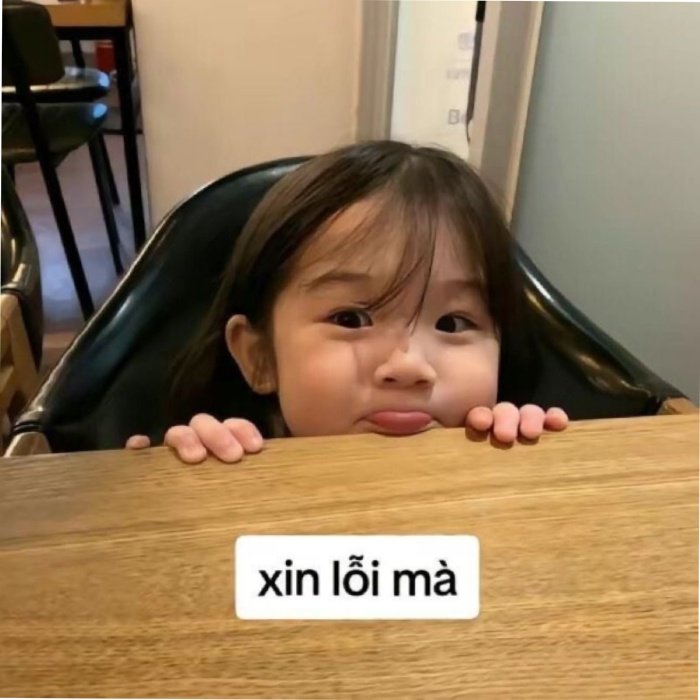 đang dỗi dùng meme xin lỗi phá băng cuộc nói chuyện