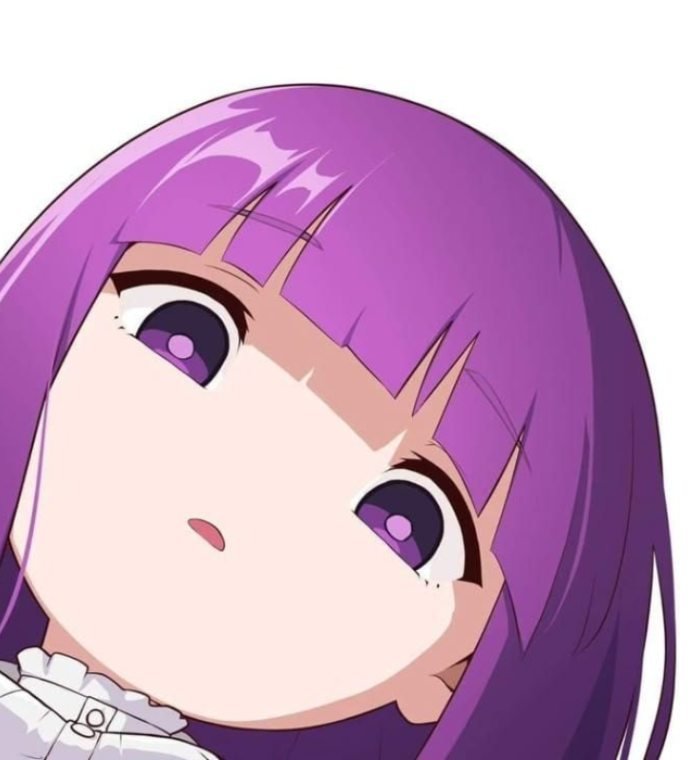 dáng vẻ điềm nhiên tự nhiên ảnh fern anime