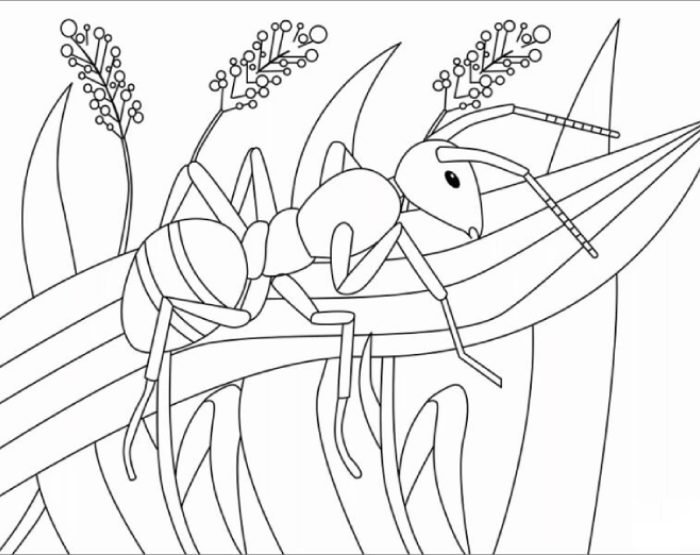 đề tài thiên nhiên trong tranh tô màu con kiến