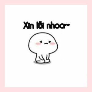 hình ảnh meme xin lỗi nhìn vào là hiểu ngay ý
