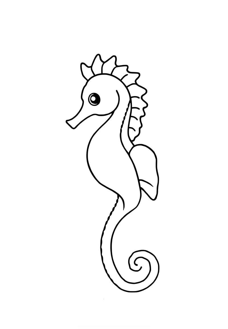 hình ảnh thân thiện trong tô màu con cá ngựa
