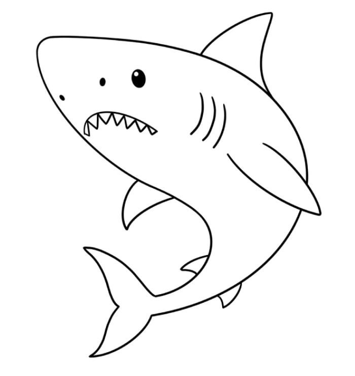 hình học màu sắc qua con cá mập tô màu