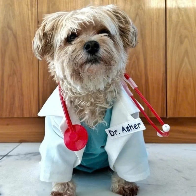 hình tượng người chữa bệnh sticker bác sĩ