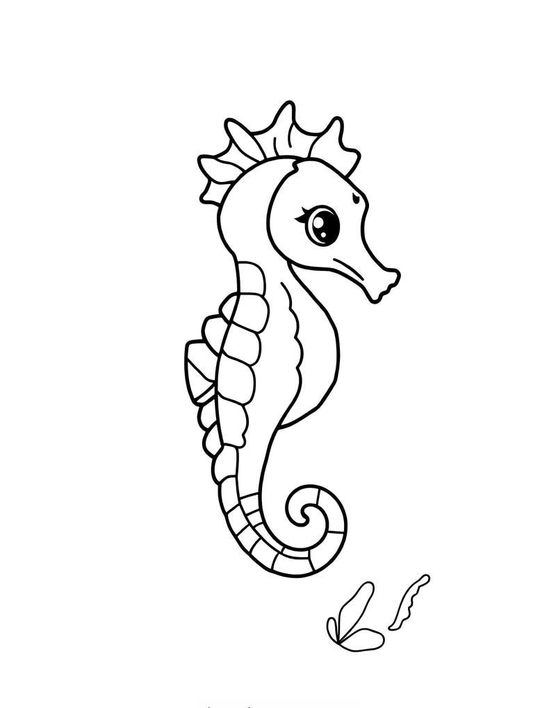 hoạt động giải trí từ tô màu con cá ngựa