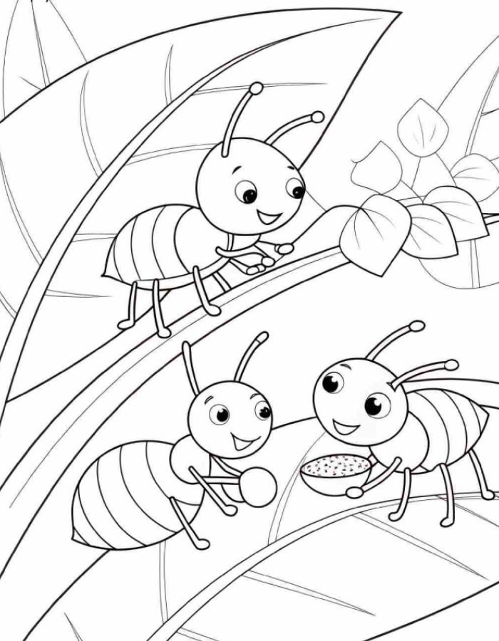 hoạt động sáng tạo qua tranh tô màu con kiến