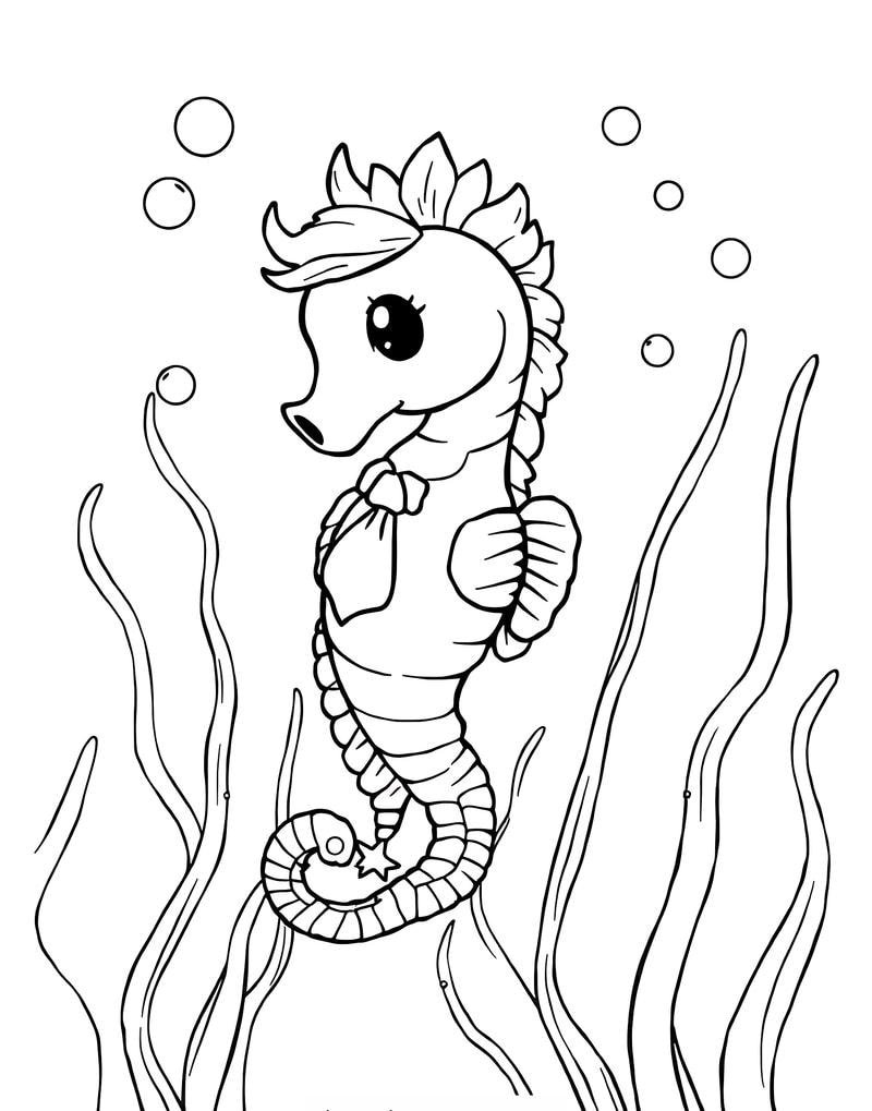 học màu sắc bằng tô màu con cá ngựa