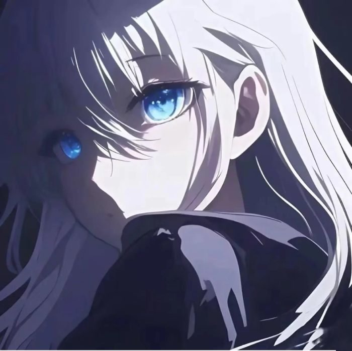 khí chất mạnh avatar đôi anime ngầu rõ