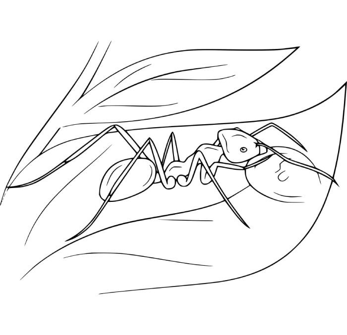 lớp học thiếu nhi dùng tranh tô màu con kiến