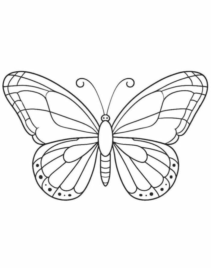 mẫu cánh xòe đều tranh tô màu hình con bướm