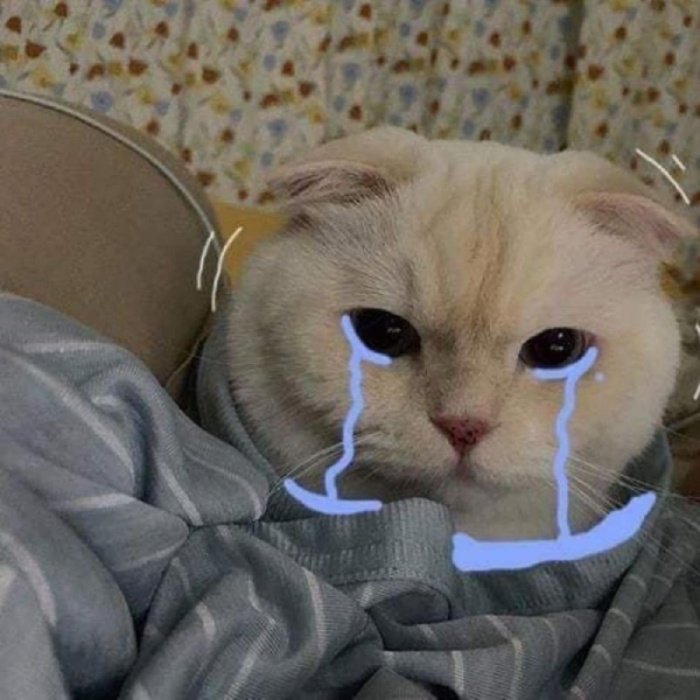 mở lại câu chuyện sau lỗi lầm meme xin lỗi