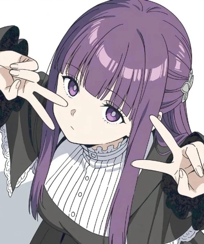 nét dịu dàng trong ảnh fern anime cute