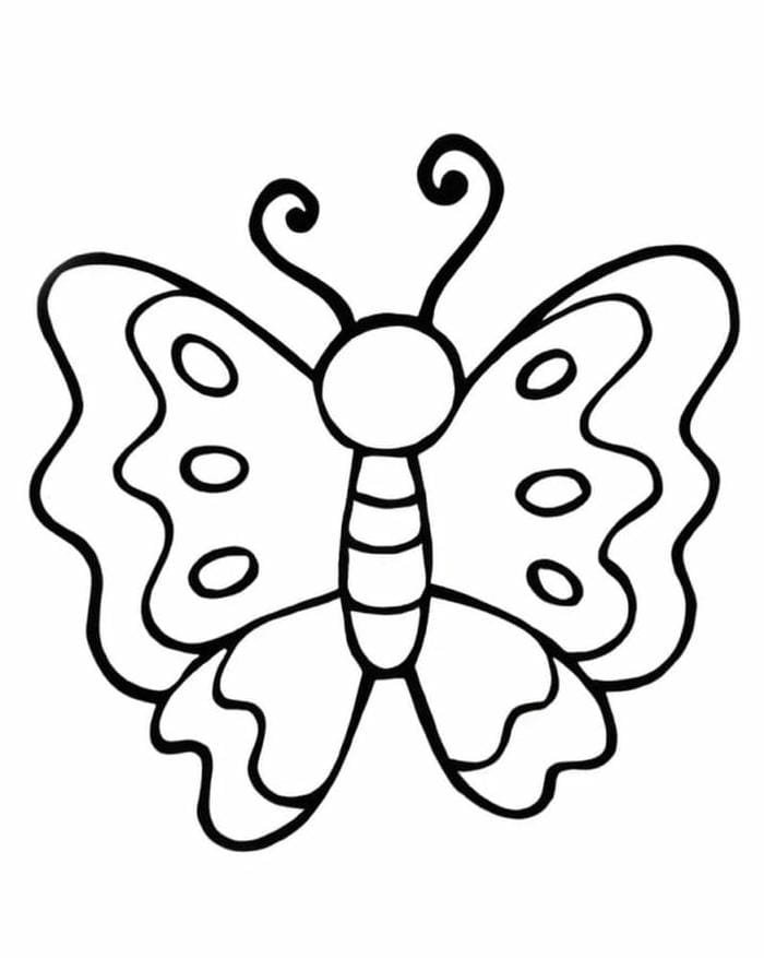 nét gọn dễ tô tranh tô màu con bướm đơn giản