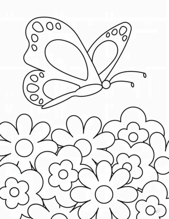 nét to rõ tranh tô màu con bướm đơn giản