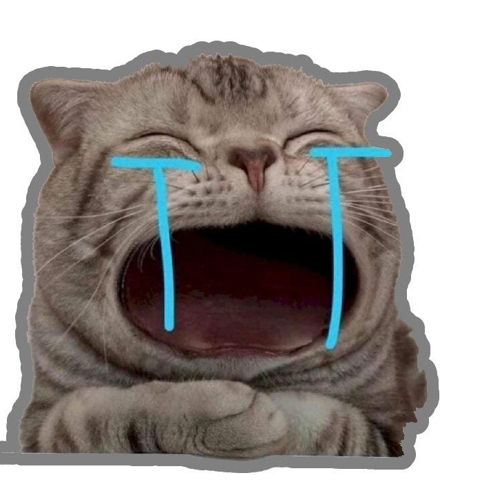 sticker khóc mèo xám nước mắt dài
