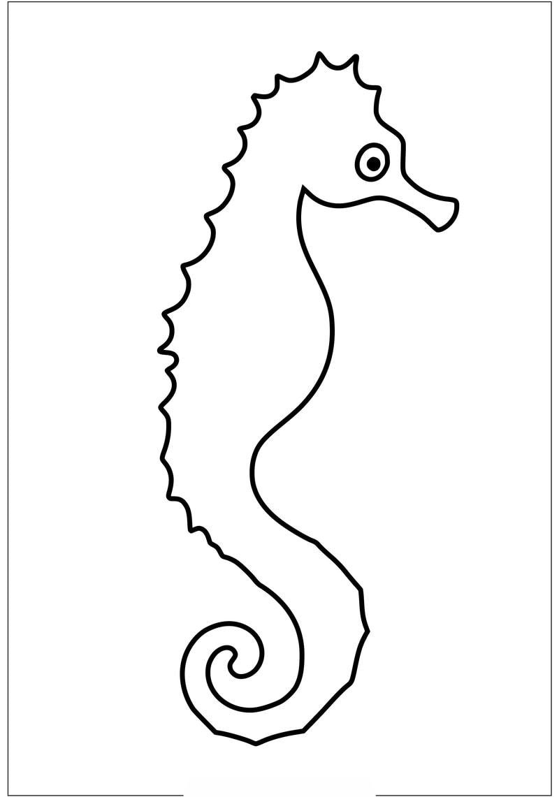 tô màu con cá ngựa hình minh họa sinh động