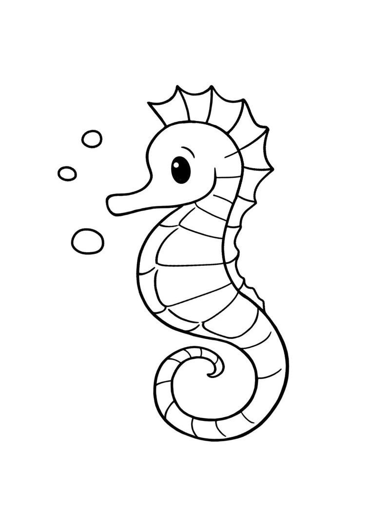 tô màu con cá ngựa học nhận biết màu sắc