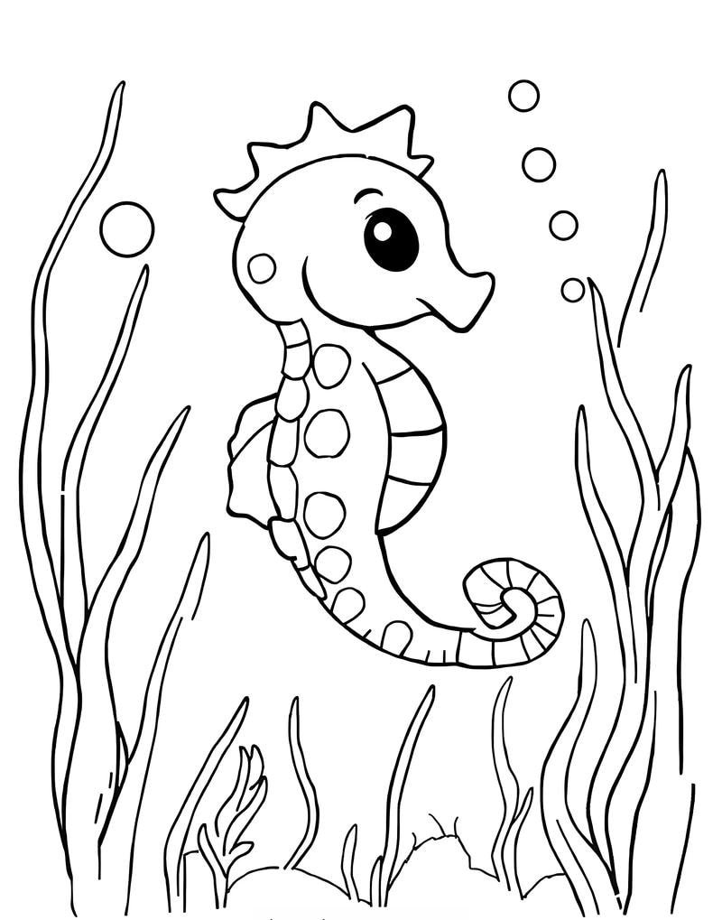 tô màu con cá ngựa phù hợp giờ học